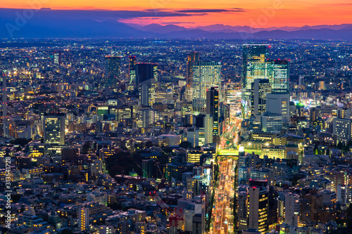 Japan. Evening Tokyo against the mountains. Late evening in the capital of Japan. The lights of Tokyo and the sunset. Top view of Tokyo evening. Cities of Japan. East Asia.