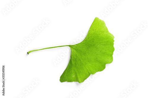 Wallpaper Mural Ginkgo leaf isolated. Gingko tree plant green leaves isolated on white background, close-up Torontodigital.ca