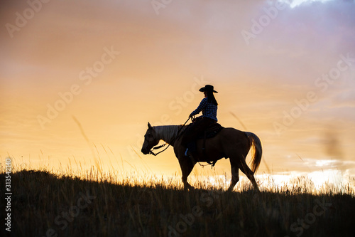 Cowgirl Silhouette  © Terri Cage 