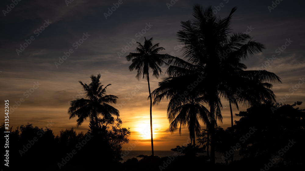 Sunset behind palms in Zanzibar, Tanzania, Africa