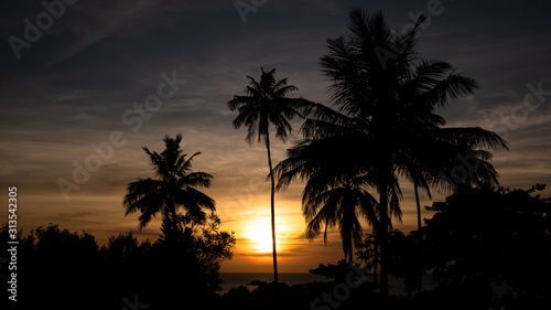 Sunset behind palms in Zanzibar  Tanzania  Africa