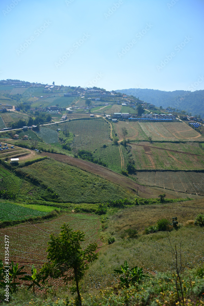 Naklejka premium Summer mountain view in Thailand,High view beautiful nature landscape of the mountain sky and forest in the morning on the hilltop viewpoint at Phu Thap Berk attractions of Phetchabun Province Thailan