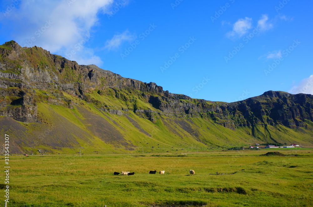 Fototapeta premium the landscape in iceland