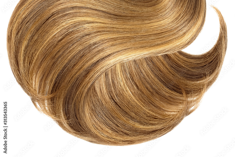 Brown hair isolated on white background. Long ponytail Brown hair isolated on white background. Long ponytail