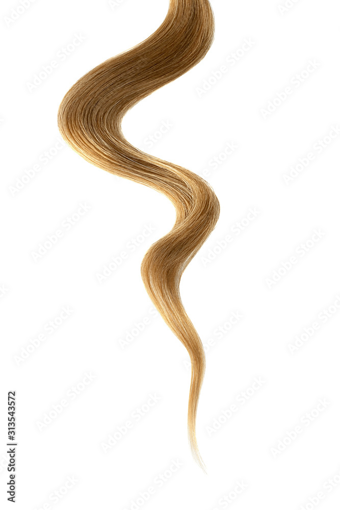 Brown hair on white background, isolated. Thin curly thread