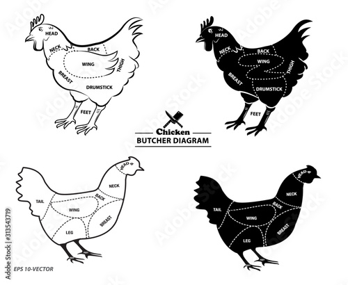 chicken silhouette or butcher diagram or part of hen butcher concept. easy to modify