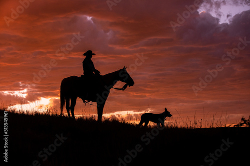 Canvas-taulu Cowgirl Silhouette
