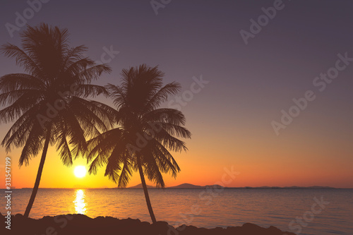 Fototapeta Naklejka Na Ścianę i Meble -  tropical palm tree and sea sunset summer background