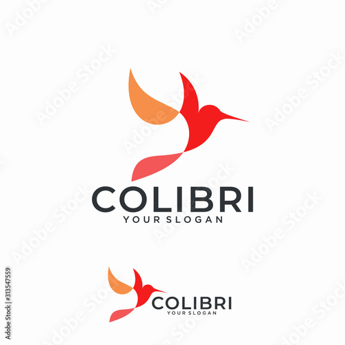 Modern Colorful Hummingbird Logo Vector Illustration