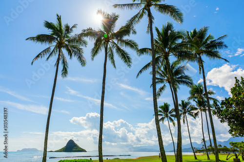 view of Kualoa Regional Park, Oahu, Hawaii photo