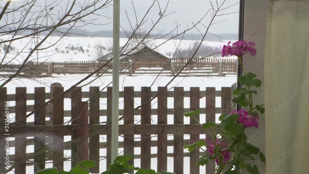 A bouquet of garden flowers on the windowsill. Winter landscape outside the window. A bouquet of garden flowers on the windowsill. Winter landscape outside the window.