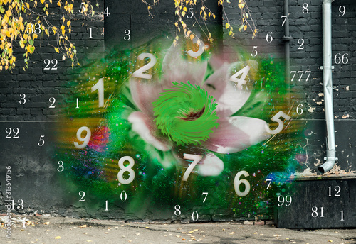  Numbers around a green flower on a street background, numerology