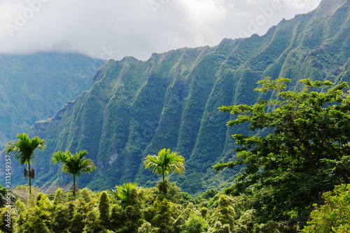Botanical Garden at Kaneohe, Oahu, Hawaii