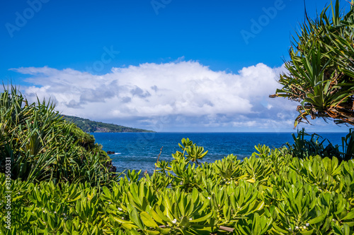 An overlooking view of nature in Maui, Hawaii