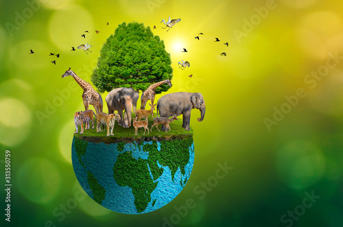 Concept Nature reserve conserve Wildlife reserve tiger Deer Global warming Food Loaf Ecology Human hands protecting the wild and wild animals tigers deer, trees in the hands green background Sun light photo