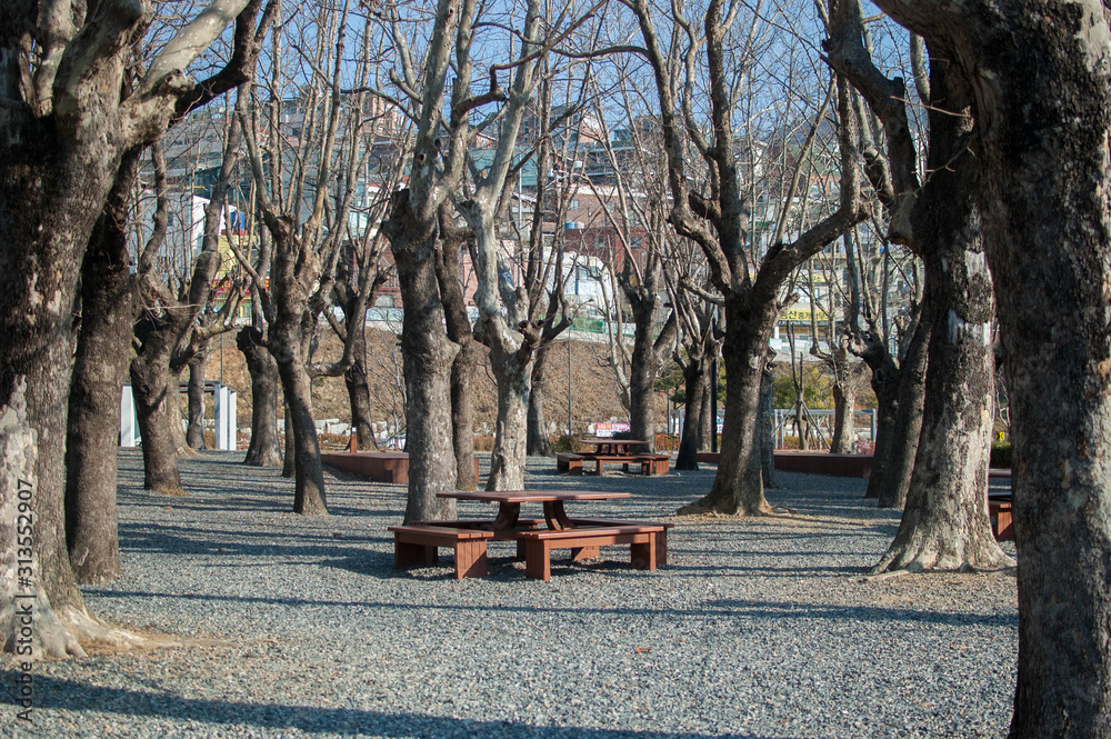 Obraz premium park