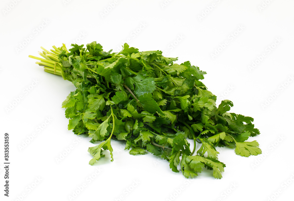 Obraz premium Fresh Coriander or Indian Dhaniya on White Background