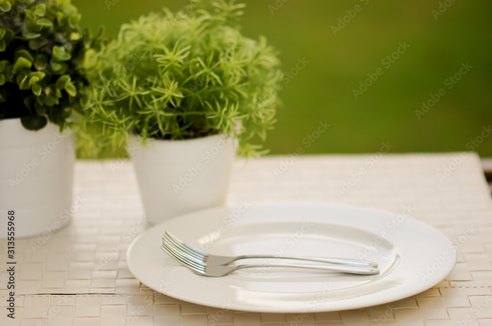 empty white dish on white table, small plant decorated empty white dish on white table, small plant decorated