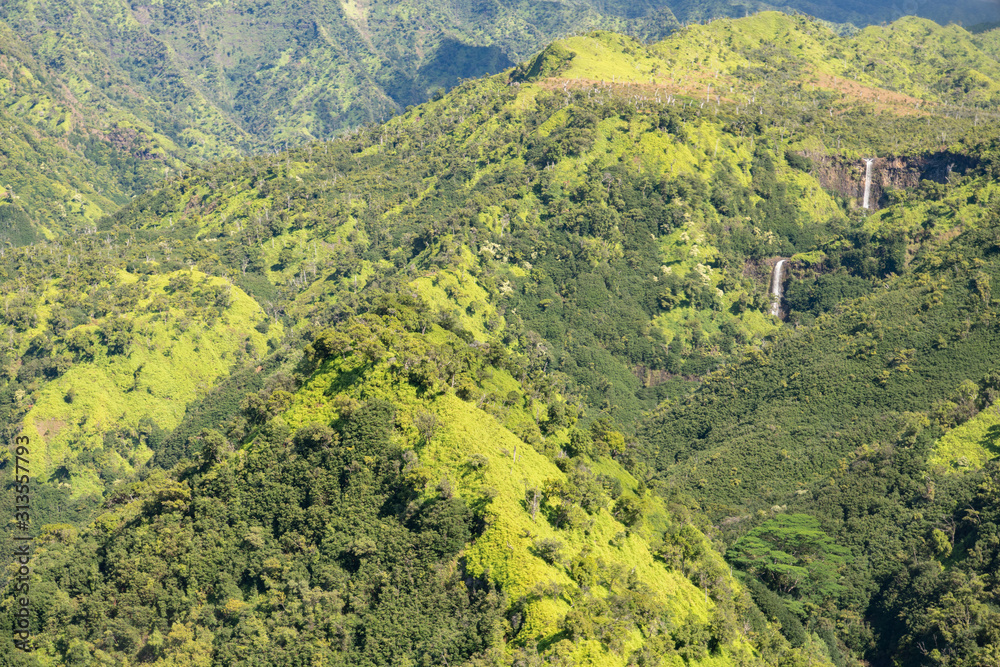 picture over lush green landscape taken from a tourist helicopter  on Hawaii