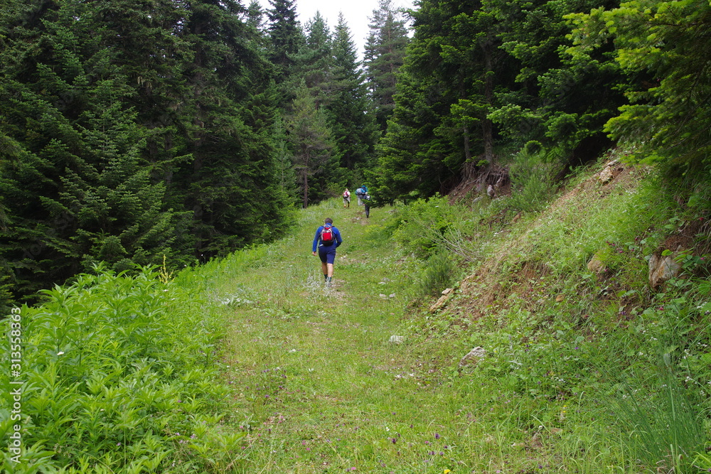 Fototapeta premium hiking in the mountains