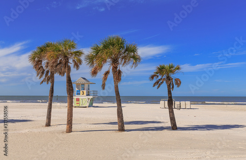 Beach with palm trees in Clearwater Beach