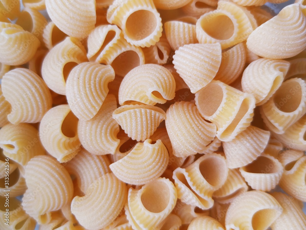 shells on wooden background shells on wooden background