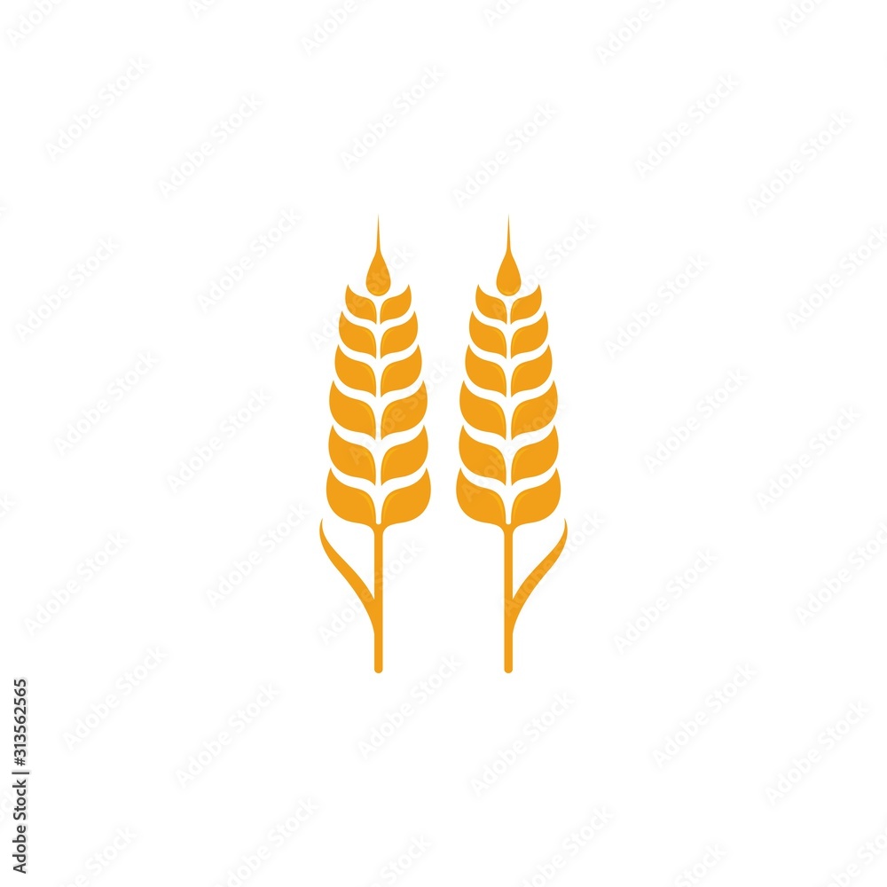 Agriculture wheat Logo Template vector icon Agriculture wheat Logo Template vector icon