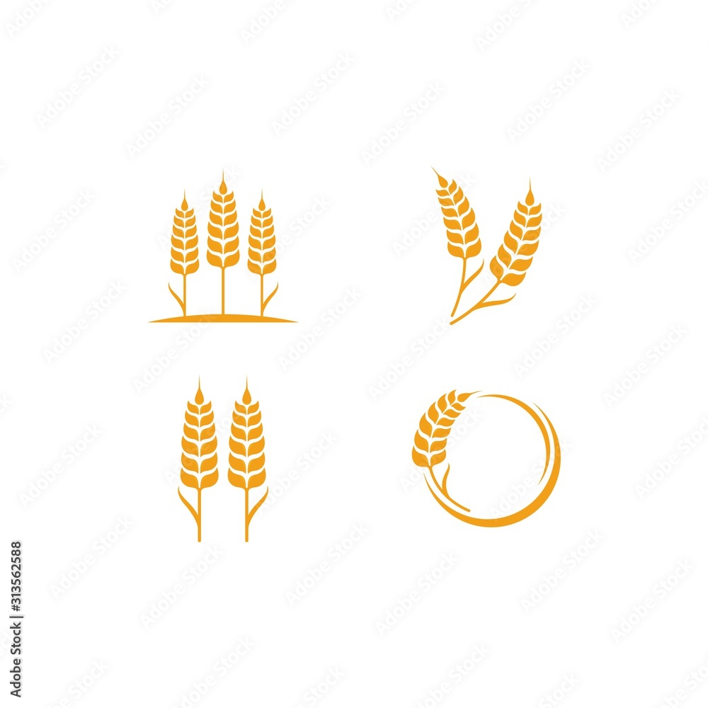 Agriculture wheat Logo Template vector icon Agriculture wheat Logo Template vector icon