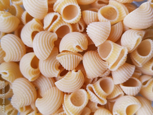 shells on wooden background