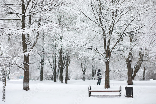 Winter landscape. Forest under the snow. Winter in the park.