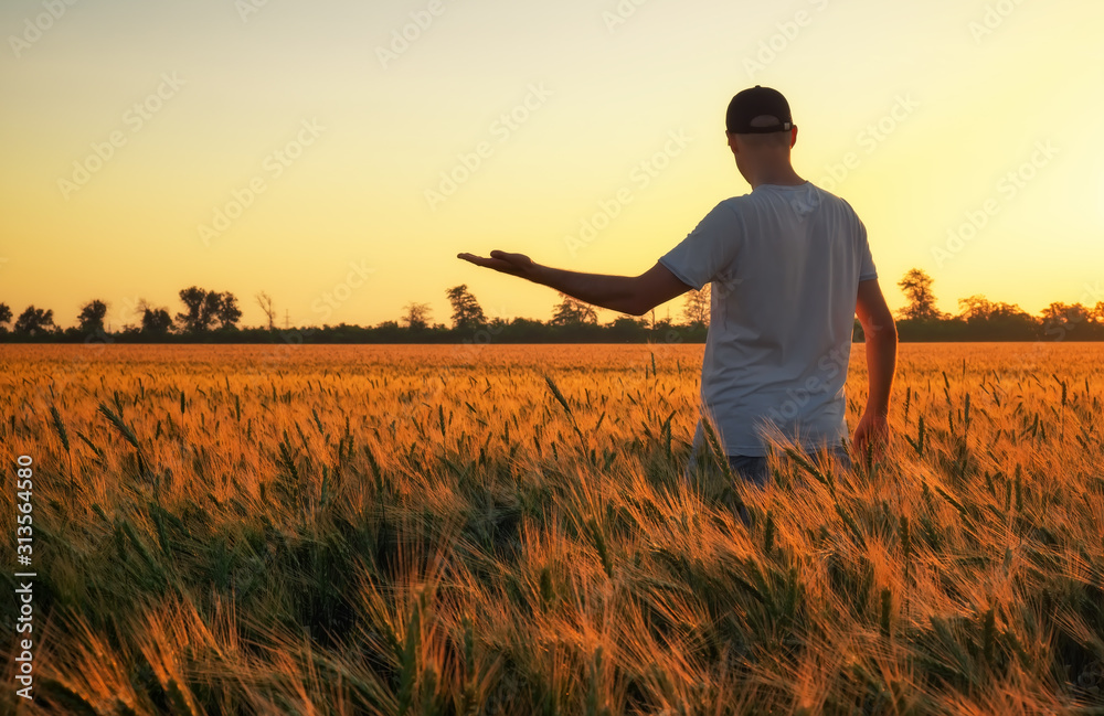 Male farmer standing in a wheat field during sunset. Man Enjoys Nature Male farmer standing in a wheat field during sunset. Man Enjoys Nature