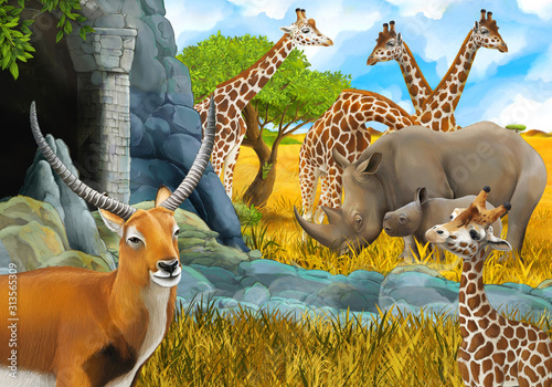 cartoon safari scene with giraffes on the meadow near some mountain illustration for children