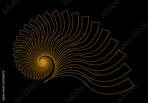 nautilus fossil linear gold black