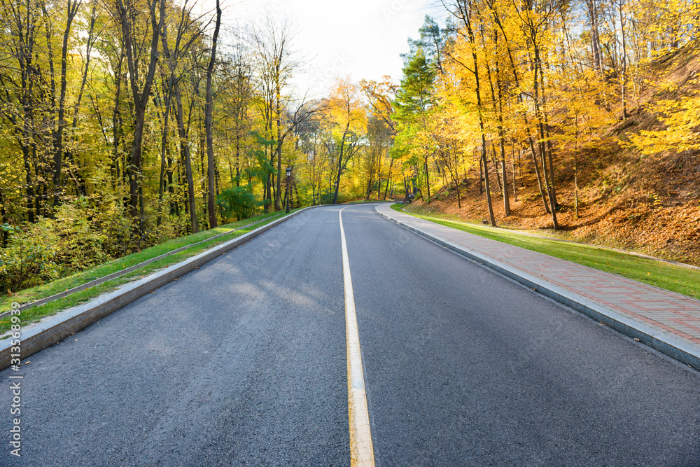 Road and autumn landscape with forest in park Road and autumn landscape with forest in park