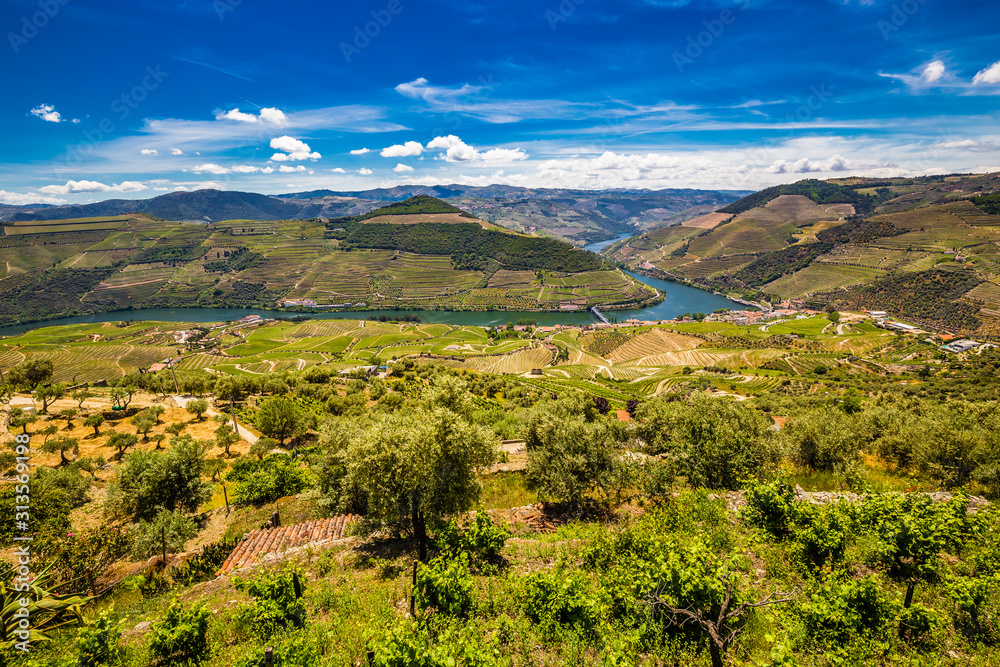 Douro Valley - Vila Real District, Portugal