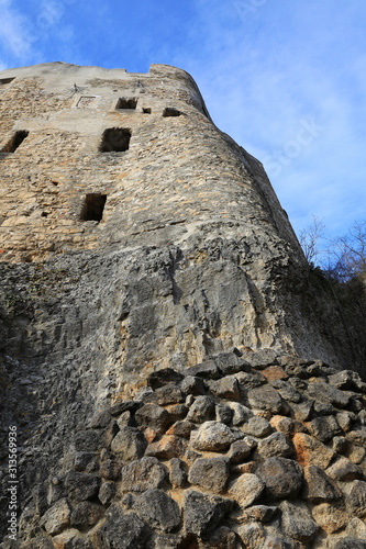 Ruin of castle Homburg photo