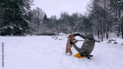 The man and his dog, the red-haired cocker spaniel, frolic in the snow. Outdoor activities in the winter during a snowfall, a man and a companion dog play together, slow motion stock video