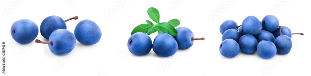 Blackthorn or Sloe berries with leaves isolated on white background. Prunus spinosa. Set or collection Blackthorn or Sloe berries with leaves isolated on white background. Prunus spinosa. Set or collection