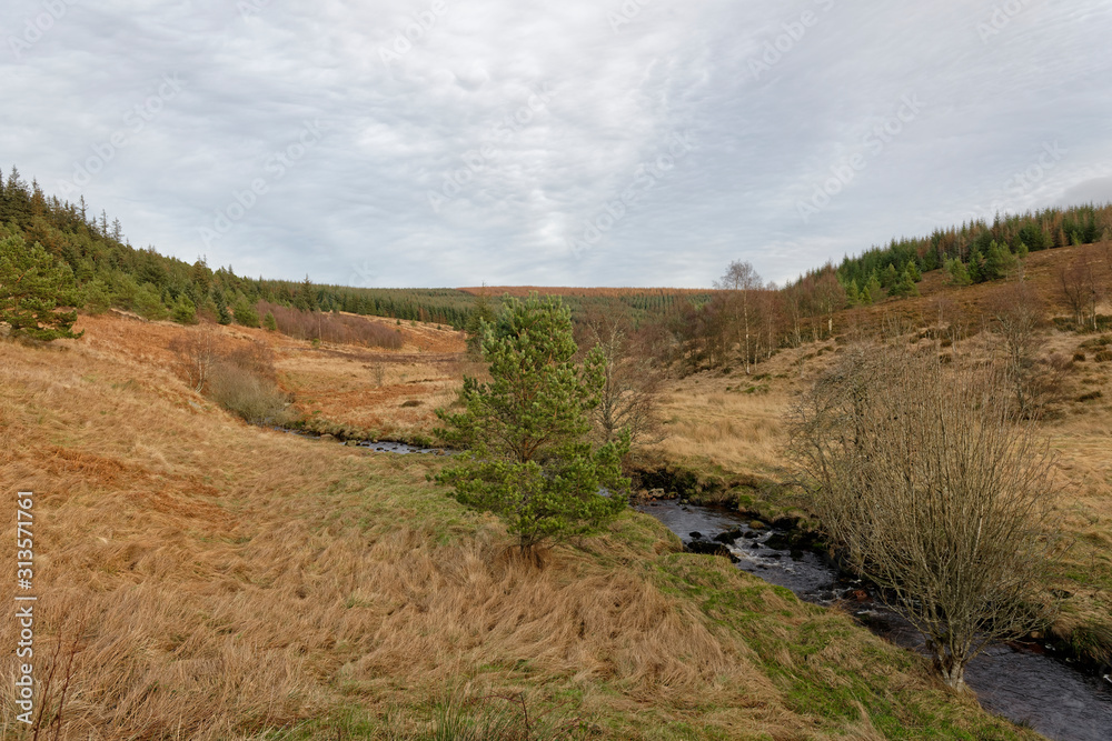 A small Scottish Valley or Glen seen in Aberdeenshire with a small stream tumbling down the Valley Floor amongst the Fall Colours of Winter.