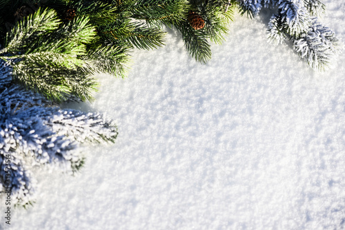 Shiny Christmas tree background dacoration with Snow top view.