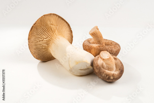 Shitake, eringi tasty mushroom isolated on white background.