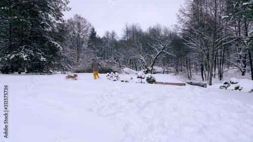 Man and his dog, red-haired cocker spaniel, play together. Outdoor activities in winter during snowfall, man and dog run away through snow and disappear behind trees., slow motion stock video