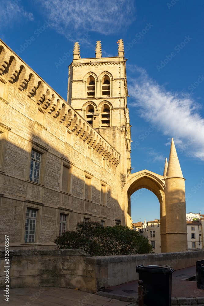 Cathedral of Saint Peter Pierre in Montpellier, France.