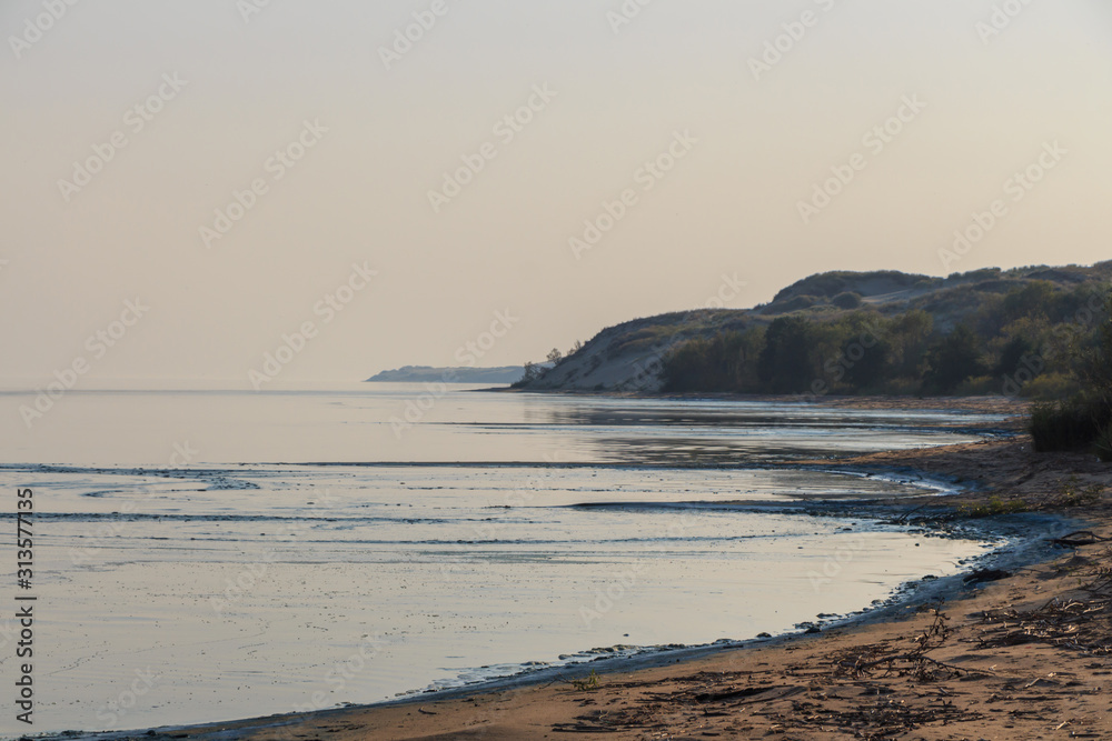 Contaminated sandy beach covered with blue-green algae. Contaminated sandy beach covered with blue-green algae.