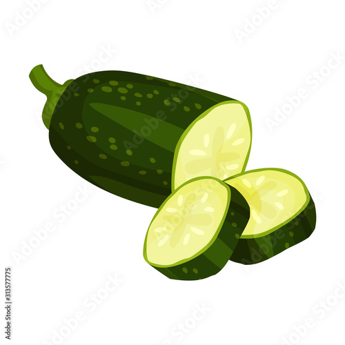 Zucchini Fresh Vegetable, Nutritious Vegetarian Food for Healthy Diet Vector Illustration
