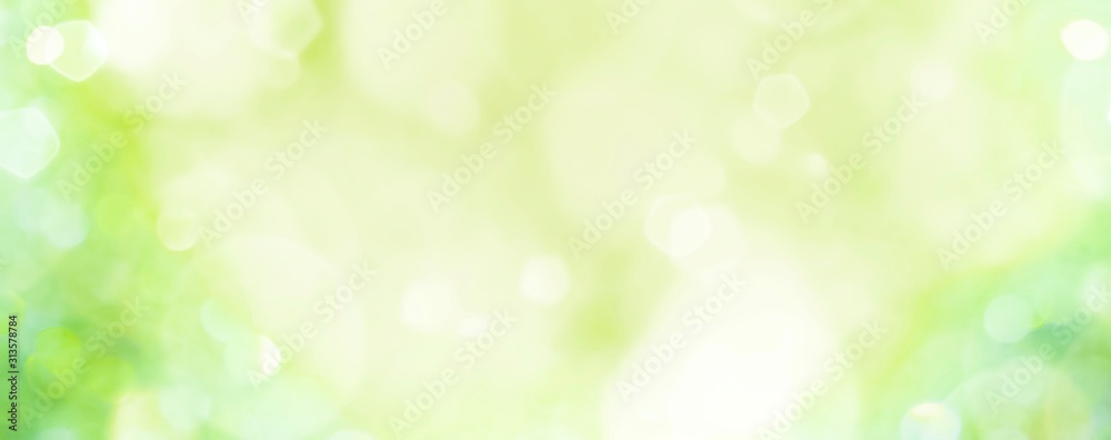 Fototapeta Tło wiosna - streszczenie transparent - zielone niewyraźne światła bokeh -