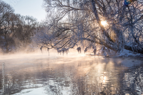 River bank with trees and grass in hoarfrost in the frosty winter morning at dawn.