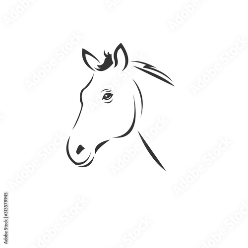 Fototapeta Naklejka Na Ścianę i Meble -  Vector image of an horse black and white. design style. animal. art. symbol. logo. Illustrator. on white background.