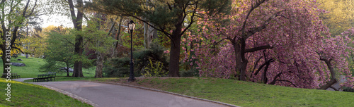 Central Park in spring