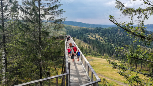 treetop path in Slovakia